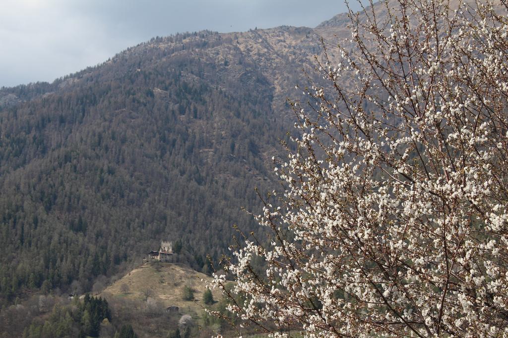 La Casa Della Coccinella Appartement Cavizzana Buitenkant foto