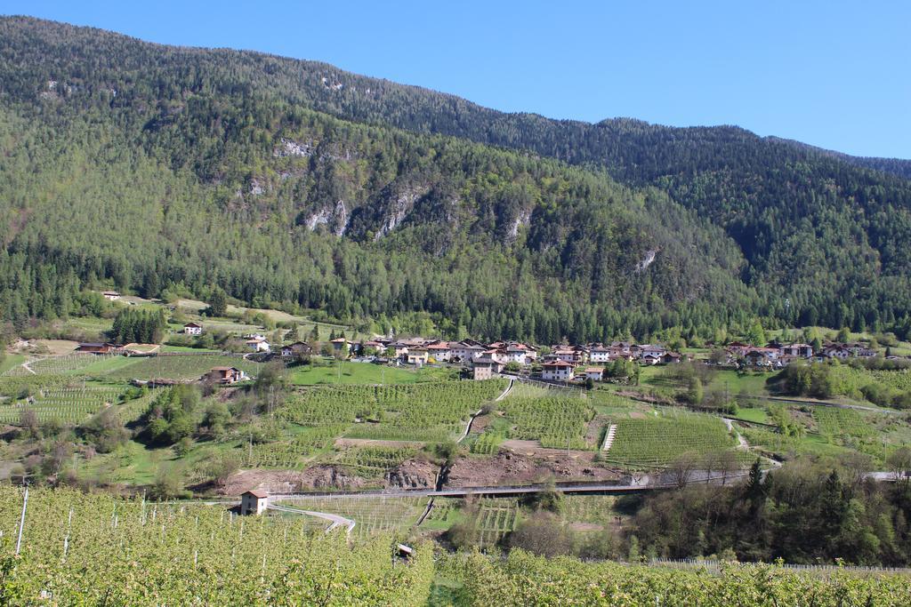 La Casa Della Coccinella Appartement Cavizzana Buitenkant foto